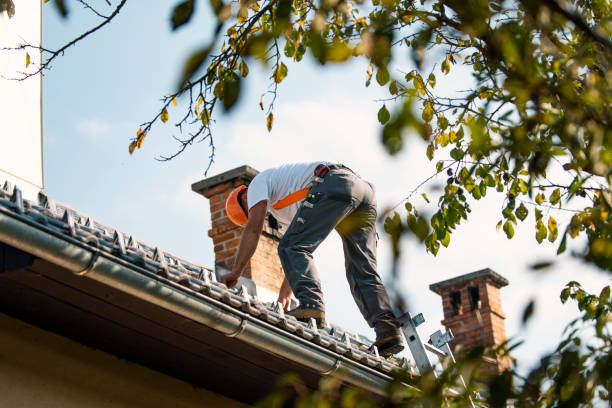 Best Best Roofing Contractors  in Colfax, LA