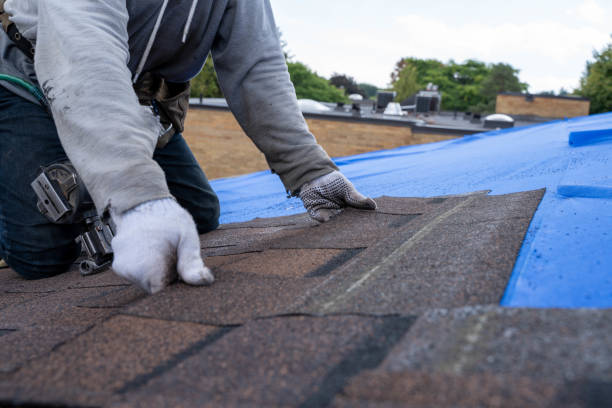 Best Commercial Roofing Services  in Colfax, LA